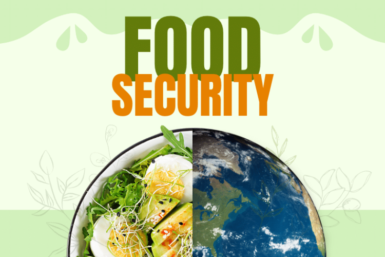 تامین پایدار امنیت غذایی، خط قرمز دولت چهاردهم است