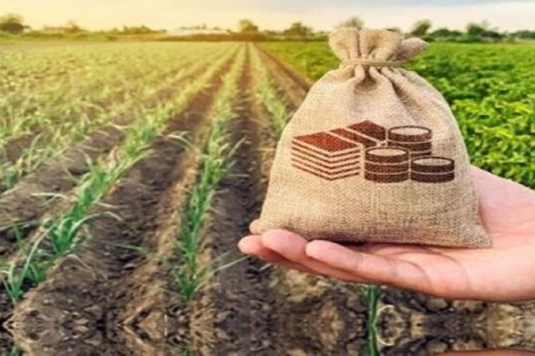 ضرورت افزایش اعتبارات صندوق بیمه کشاورزی و تأمین امنیت غذایی