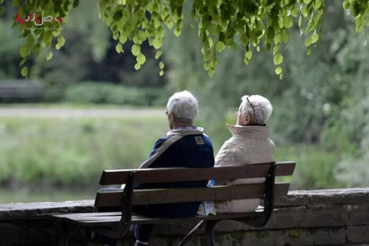 اگر نمی‌خواهید زود پیر شوید، نتایج این پژوهش را بخوانید: یک ویژگی ساده‌ که مغز را جوان نگه می‌دارد