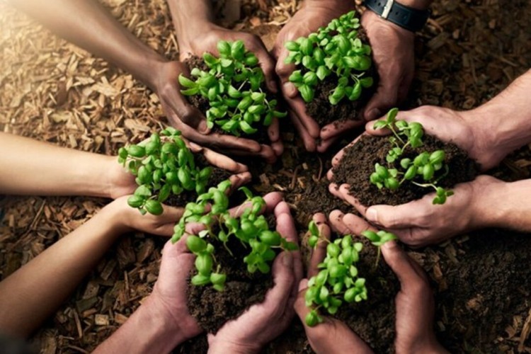 اصلاحات اقتصادی با محور عدالت و تأمین امنیت غذایی با قدرت دنبال می‌شود