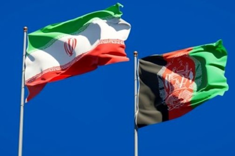 ظرفیت‌های کشاورزی و دامپروری افغانستان فرصت تجاری برای ایران است