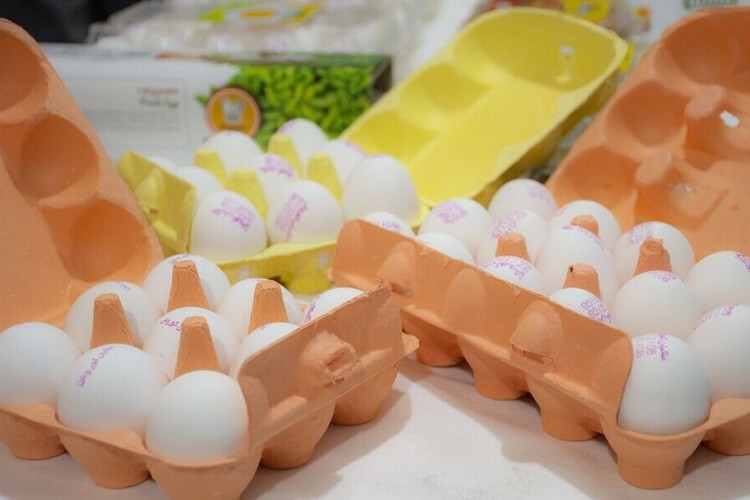 قیمت هر شانه تخم‌مرغ برای مصرف‌کننده ۳۱۰ تا ۳۲۰ هزار تومان اعلام شد