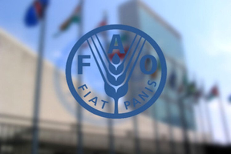 شاخص قیمت مواد غذایی فائو در ژانویه کاهش یافت