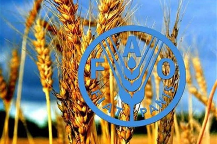 استفاده از فناوری هسته‌ای برای غلبه بر ناامنی غذایی ضروری است