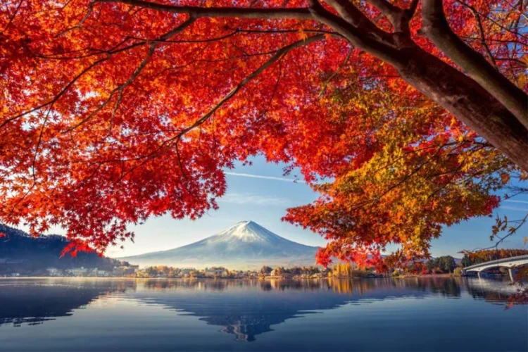 مردم ژاپن نگرانند که این کشور در حال گذار از سیستم «چهار فصل» به سیستم «دو فصل» است.