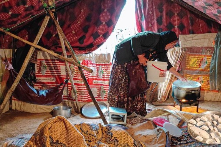 آموزش زنان روستایی و عشایری در حوزه دیجیتال آغاز می‌شود