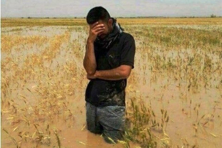 ۳۰ همت خسارت بخش کشاورزی در ایام جنگ