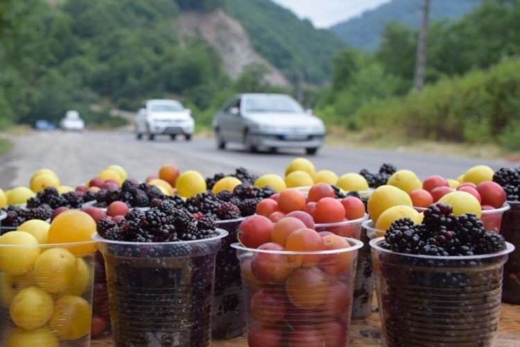 دوره گردهایی که خطر بساط می کنند
