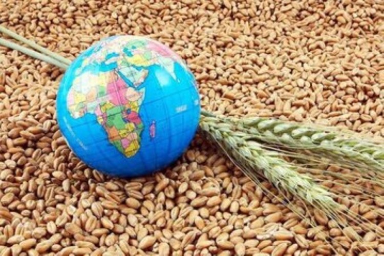 حمایت از توسعه فناوری‌های بومی در حوزه امنیت غذایی با اجرای دو برنامه ملی