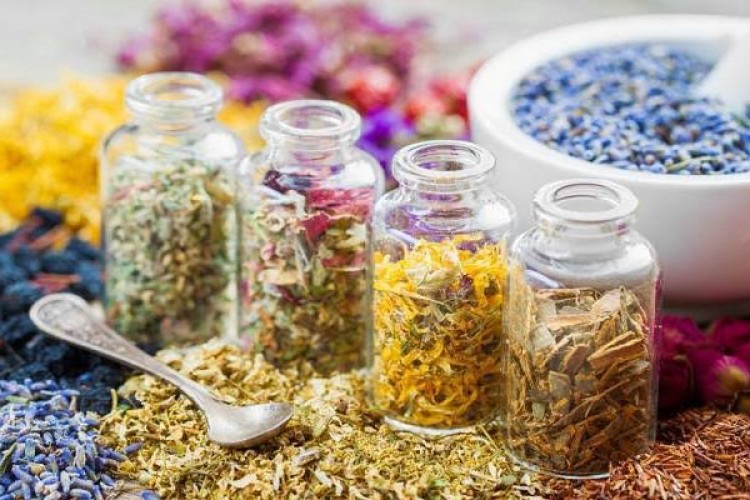 سه میلیون دلار صادرات، ثمره توسعه کشت گیاهان دارویی در اصفهان