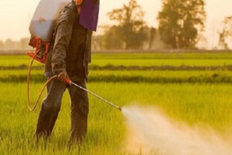 دستاوردهای پژوهشی کشاورزی فارس؛معرفی ۸۰ رقم زراعی و باغی و ۲۴ طرح تحقیقی–ترویجی