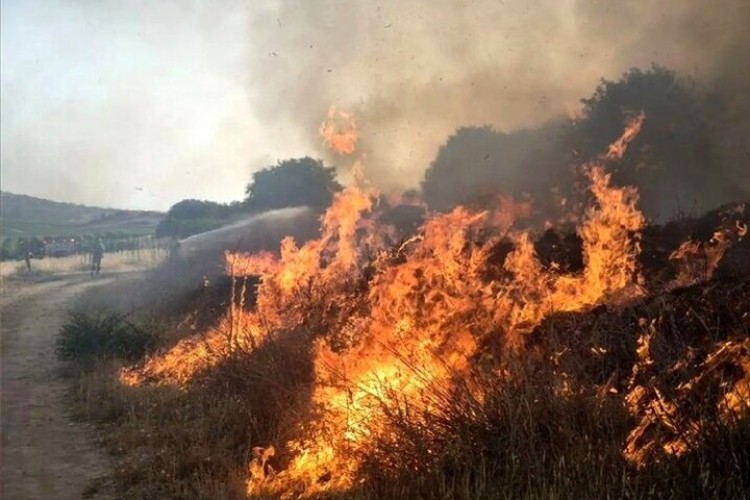 ۳۰ کیلومتر آتش‌بُر در مناطق بحرانی منابع طبیعی اراک ایجاد شد