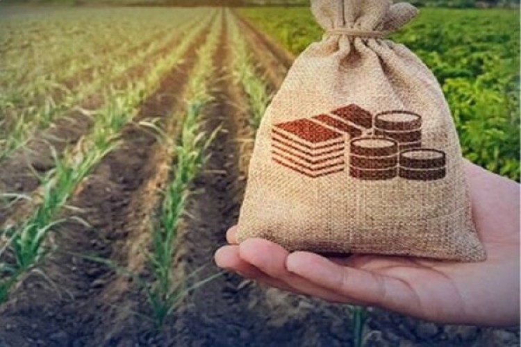 حداقل سهم بخش کشاورزی از وام‌های بانکی تعیین شد