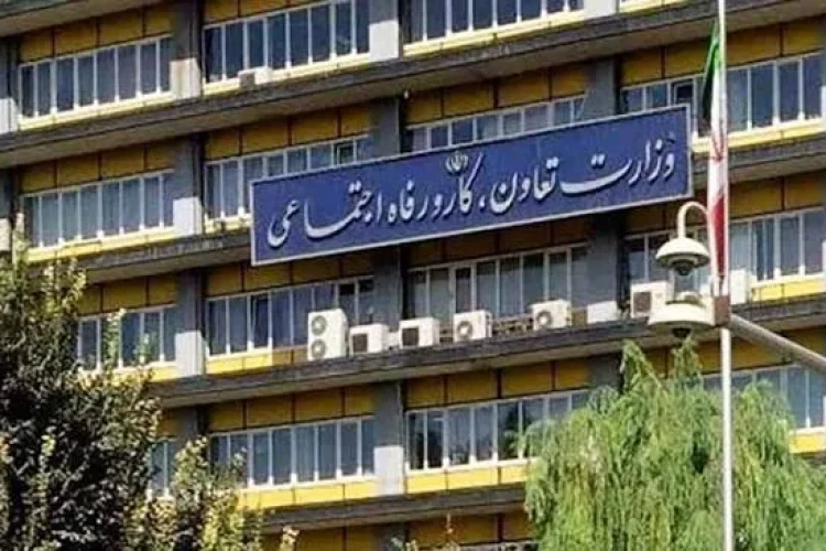 حیاط خلوت مدیران در شرکت‌های وزارت کار را جمع می‌کنیم / تشکیل تیم نظارتی مجلس