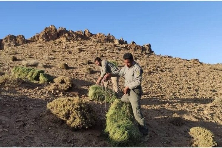 امنیت گردشگران و حفاظت از طبیعت باید همزمان تامین شود
