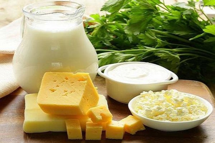نگاه طب ایرانی به اثرات درمانی پروبیوتیک‌ها