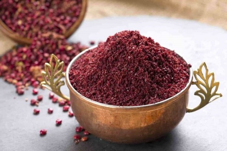 هشتمین جشنواره برداشت سماق در روستای خانیک گناباد برگزار می‌شود