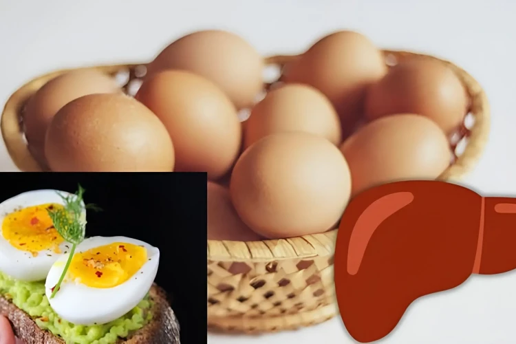 تخم‌ مرغ برای کبد مفید است یا مضر؟