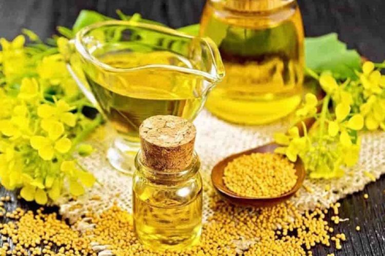 بذر بومی، گامی موثر در خوداتکایی تولید روغن