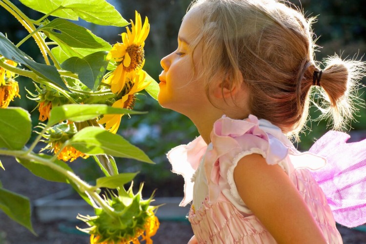 آموزش «بوییدن» به کودکان؛ راهی برای بهبود سلامت روان و درک بهتر جهان