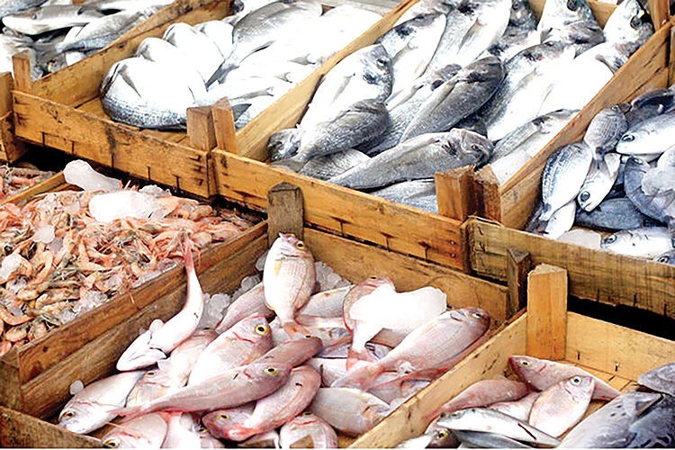 بازار روسیه ظرفیت مناسبی برای توسعه صادرات شیلات ایران است