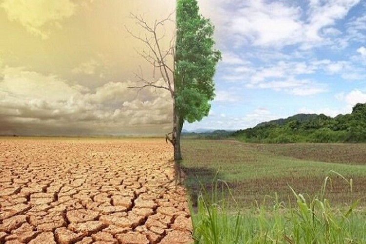 استقبال چین از پیشنهاد ایران برای همکاری‌ در زمینه جنگلداری و بیابان‌زدایی