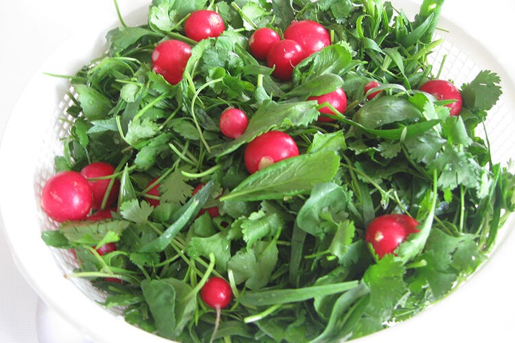 سبزی خوردن بسته‌بندی باید مطابق ضوابط سازمان غذا و دارو تولید شود