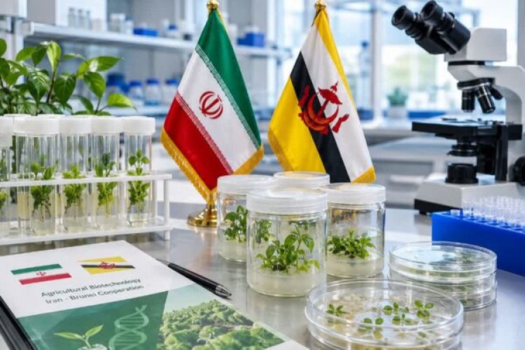 بیوتکنولوژی؛ اولویت نخست همکاری کشاورزی ایران و برونئی