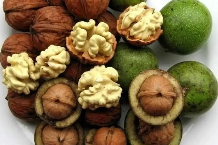 ۵ روش خشک کردن گردو سبز