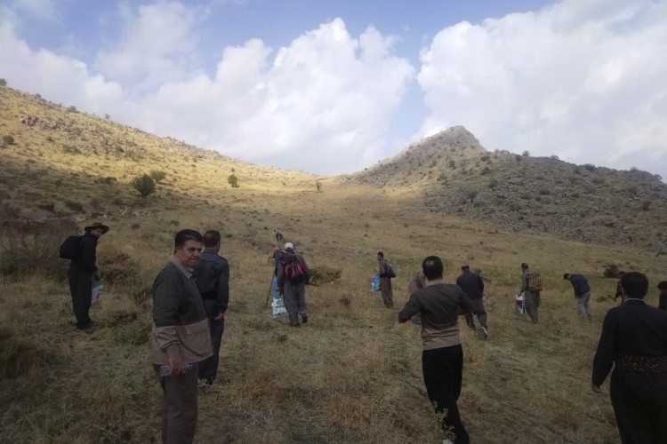 عملیات بذرکاری "جاشیر" در ۱۰۰ هکتار از مراتع سروآباد آغاز شد