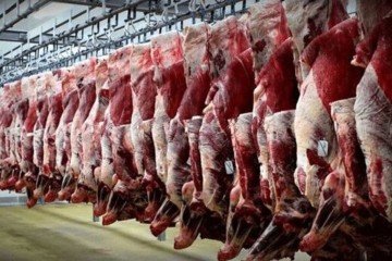 عرضه گوشت گوسفندی با قیمت ۸۵ هزار تومان از هفته جاری