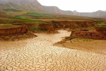 ایجاد بادشکن‌های طبیعی راهکار اصلی مبارزه با خشکسالی و بیابان‌زایی