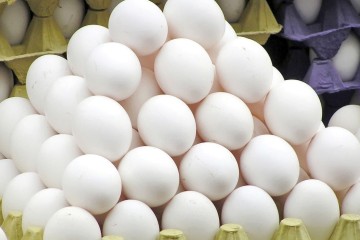 روزانه ۲۵۰ تُن تخم‌مرغ در قم تولید می‌شود