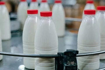 قیمت تضمینی شیر خام درب دامداری، کیلویی ۱۲ هزار تومان تعیین شد