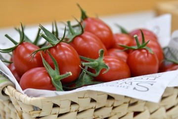 کمبود عرضه و صادرات دلایل اصلی افزایش قیمت گوجه فرنگی و سیب زمینی