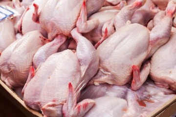 فروش گوشت مرغ با قیمت بالای ۶۰ هزار تومان گران فروشی است