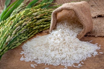 دولت هند ۲۰ درصد عوارض اضافی بر صادرات برنج وضع کرد