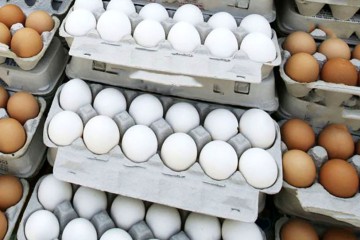 تخم‌مرغ مورد نیاز کشور تامین است