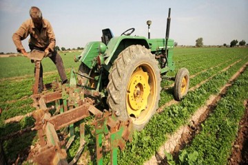 پرداخت ۱۵ هزار میلیارد تومان تسهیلات کشاورزی از محل تبصره ۱۸ قانون بودجه