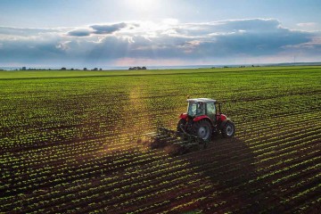 سند ۵ میلیون هکتار اراضی کشاورزی تا پایان سال جاری صادر می‌شود