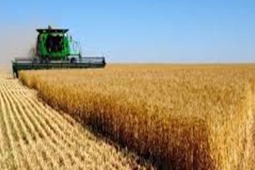 روسیه خواستار لغو تحریم بانک کشاورزی خود شد