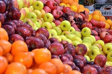 مقدمات خرید توافقی میوه شب عید توسط تشکل‌های کشاورزی فراهم شده است