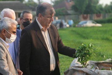 رفع موانع تولید ۲ واحد صنعتی کشاورزی شیراز پیگیری شد