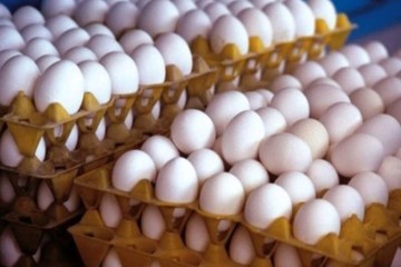 عرضه هر عدد تخم مرغ بالاتر از ۳ هزار تومان گرانفروشی است