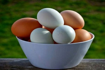 قیمت هر شانه تخم‌مرغ بیشتر از ۹۰ هزار تومان گران فروشی است