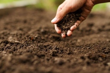 تصویب آیین‌نامه اجرایی قانون حفاظت خاک در دولت تا پایان امسال