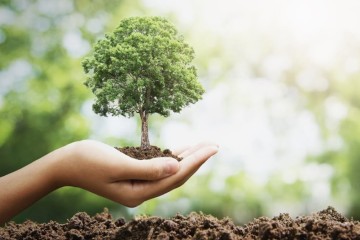 کمیته علمی ستاد مردمی «کاشت یک میلیارد درخت» تشکیل شد