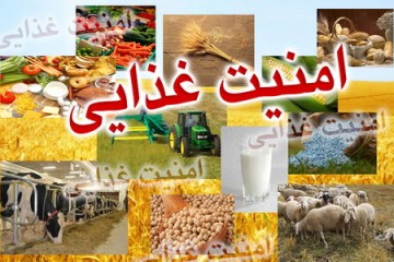 سند ملی تغذیه و امنیت غذایی بزودی تصویب می‌شود