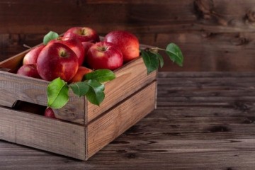 ایران رتبه چهارم تولید سیب در جهان است
