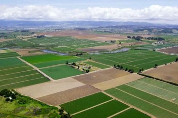 ناکارآمدی قوانین «یکپارچه‌سازی اراضی» برای کاهش مصرف آب کشاورزی